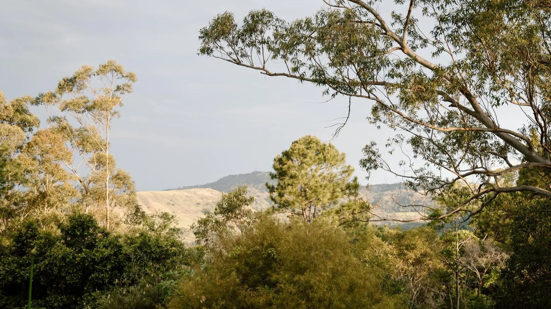 Executive Paradise High On Hill With Incredible Views, Firepit & Games Perfect For Groups Of Family And Friends Balmoral Ridge 0*,
